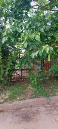 Продава ПАРЦЕЛ, гр. Русе, Родина 4, снимка 2