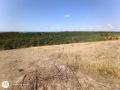 Продава ПАРЦЕЛ, гр. Каварна, област Добрич, снимка 2