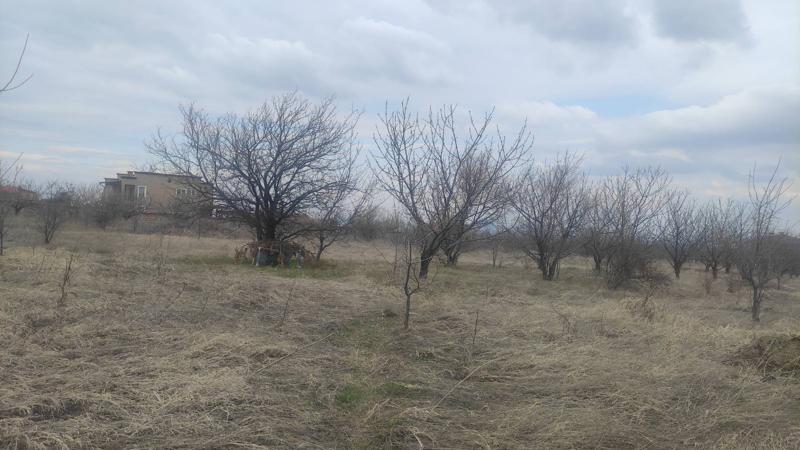 ������� ������ | Imot.bg � ����������� 1