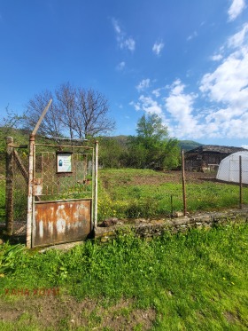 ������ ������� ������