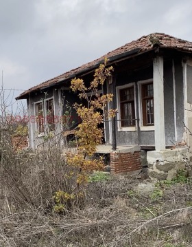 ����� ������� ������,�. �������, ������ ������