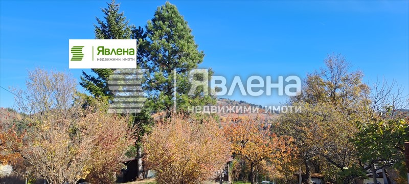 ������� ������ | Imot.bg � ����������� 1