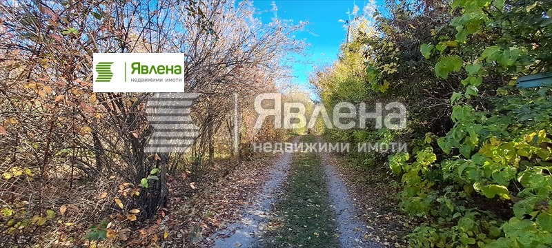 ������� ������ | Imot.bg � ����������� 8
