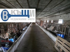 ������� ����. ��������� | Imot.bg � ����� ������ 6