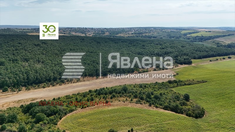 Продава ПАРЦЕЛ, с. Бенковски, област Варна, снимка 2 - Парцели - 54796863