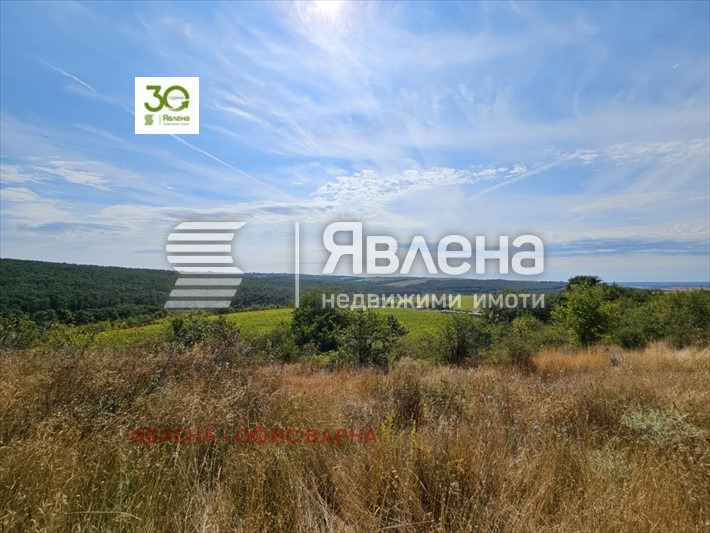 Продава ПАРЦЕЛ, с. Бенковски, област Варна, снимка 3 - Парцели - 54796863