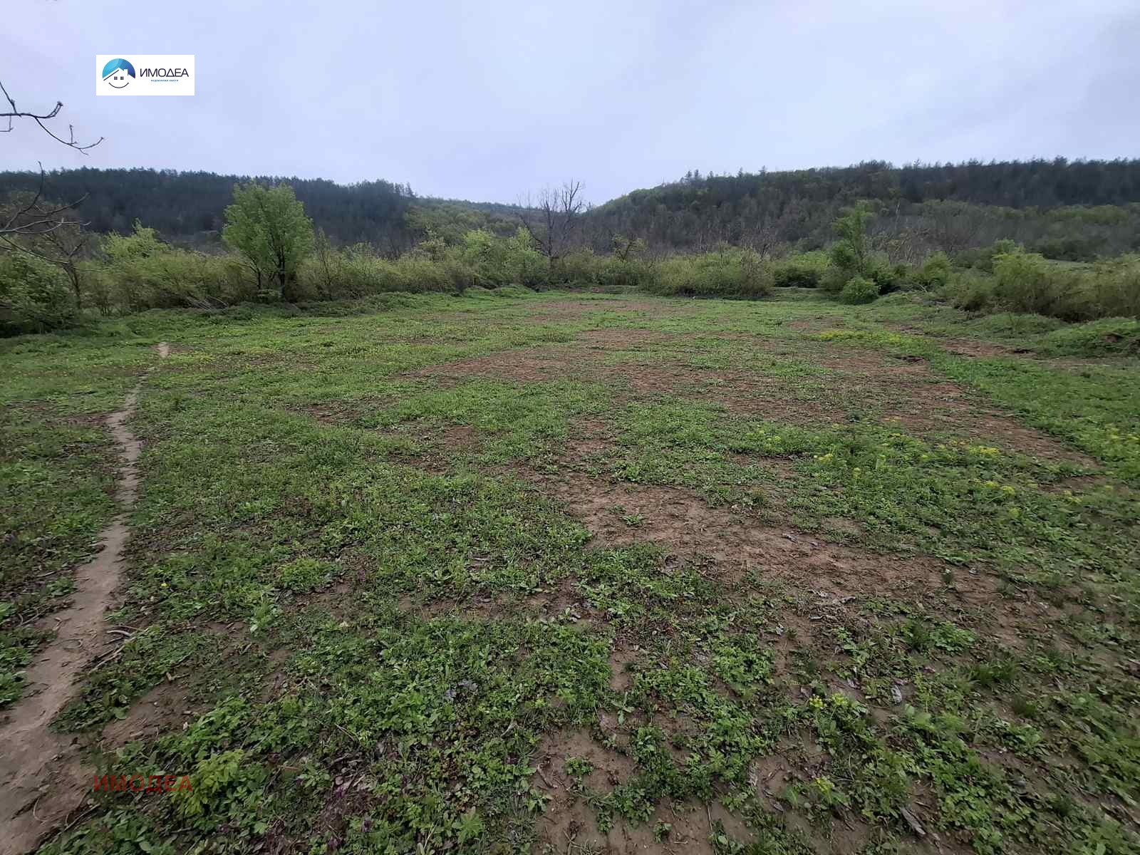 Продава ПАРЦЕЛ, гр. Дебелец, област Велико Търново, снимка 2 - Парцели - 50555543
