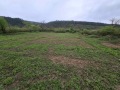 Продава ПАРЦЕЛ, гр. Дебелец, област Велико Търново, снимка 1
