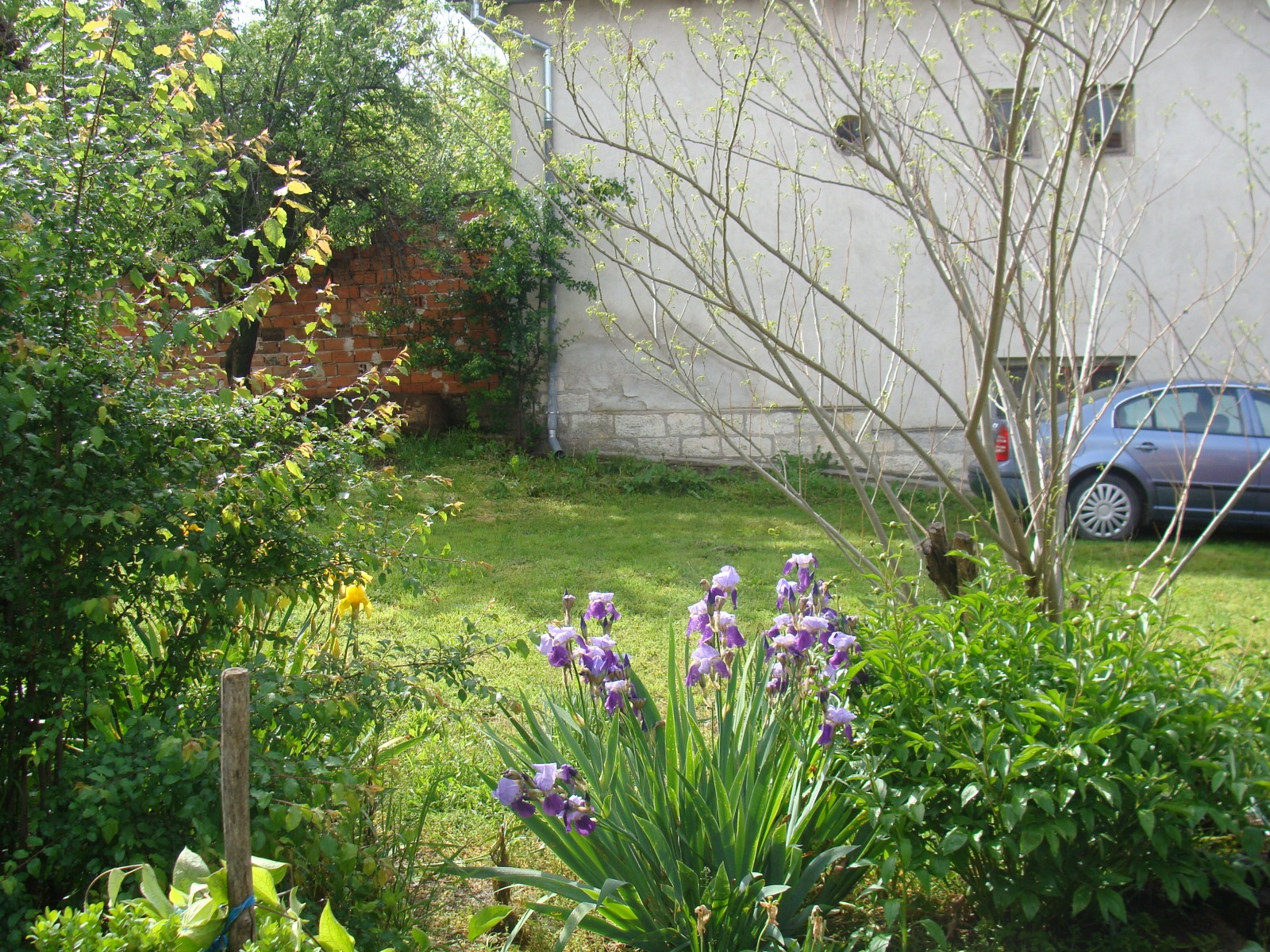 ������� ���� | Imot.bg � ����������� 5