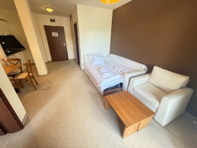 1 Schlafzimmer Bansko, region Blagoewgrad