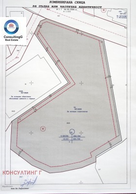 ����� ������� ������,���� ������, ����