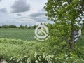 Продава ПАРЦЕЛ, област Пловдив, с. Граф Игнатиево • 45000 € • 43930602 — Holmes.bg