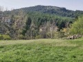 Продава ПАРЦЕЛ, област София, с. Горна Малина • 105000 € • 35703858 — Holmes.bg