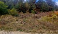 Продава ПАРЦЕЛ, област Пловдив, с. Цар Калоян • 120000 € / 234699.60 лв. • 97713822 6