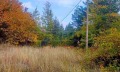 Продава ПАРЦЕЛ, област Пловдив, с. Цар Калоян • 120000 € / 234699.60 лв. • 97713822 1