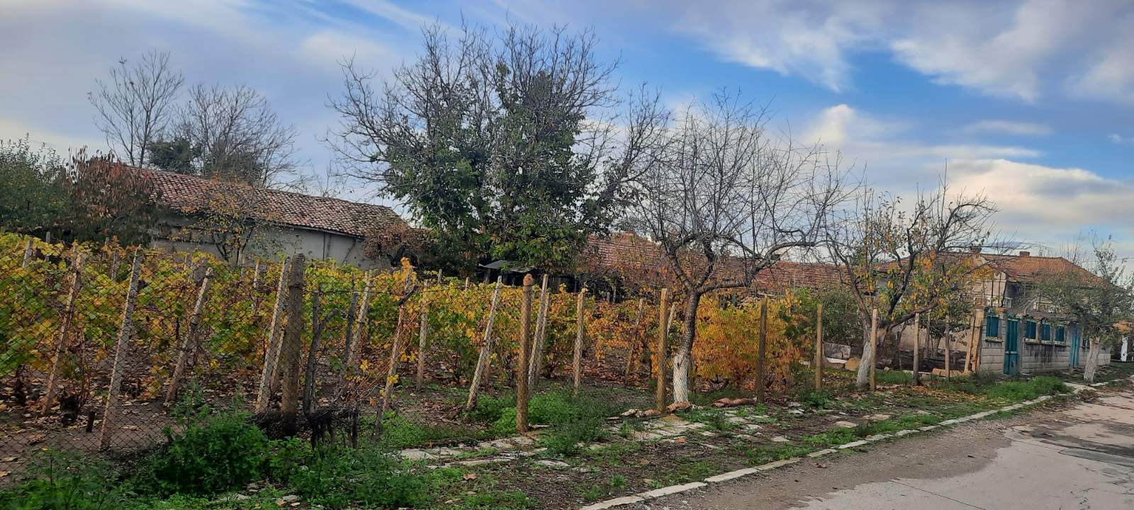 ������� ���� | Imot.bg � ����������� 5