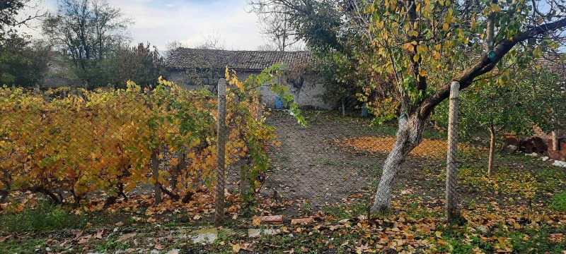 Продава КЪЩА, с. Дибич, област Шумен, снимка 3 - Къщи - 52781850