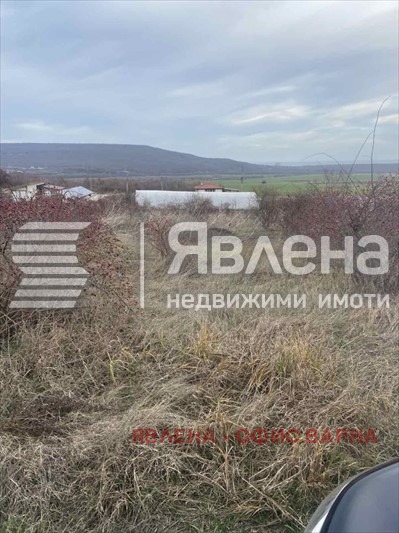 Продава ПАРЦЕЛ, с. Рогачево, област Добрич, снимка 2 - Парцели - 48580343