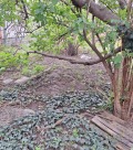 Продава ЕТАЖ ОТ КЪЩА, град Пловдив, Съдийски • 220000 € • 82174186 — Holmes.bg
