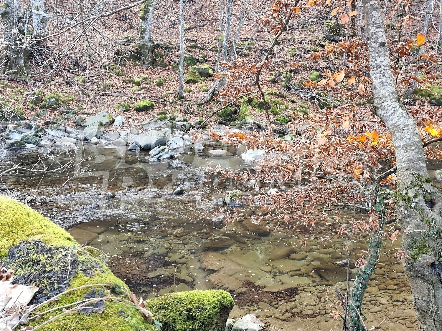 ������� ������ | Imot.bg � ����������� 7