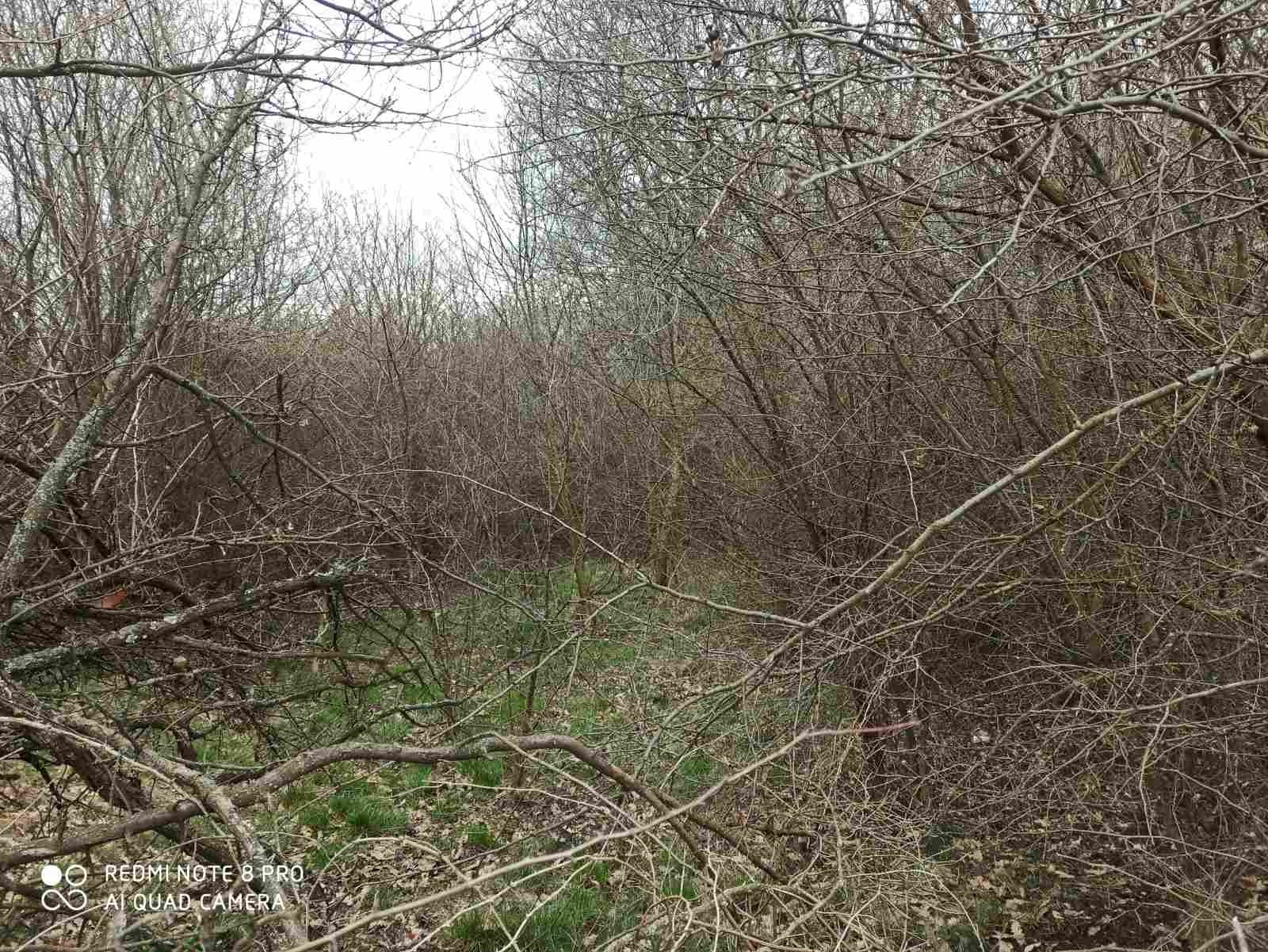 Продава ПАРЦЕЛ, гр. София, гр. Банкя