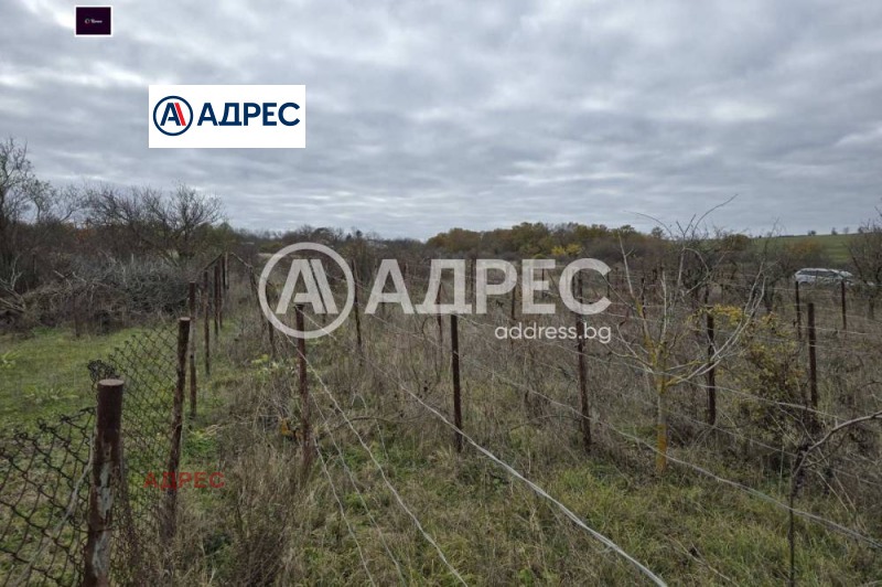 Продава ПАРЦЕЛ, с. Осеново, област Варна, снимка 5 - Парцели - 53498201