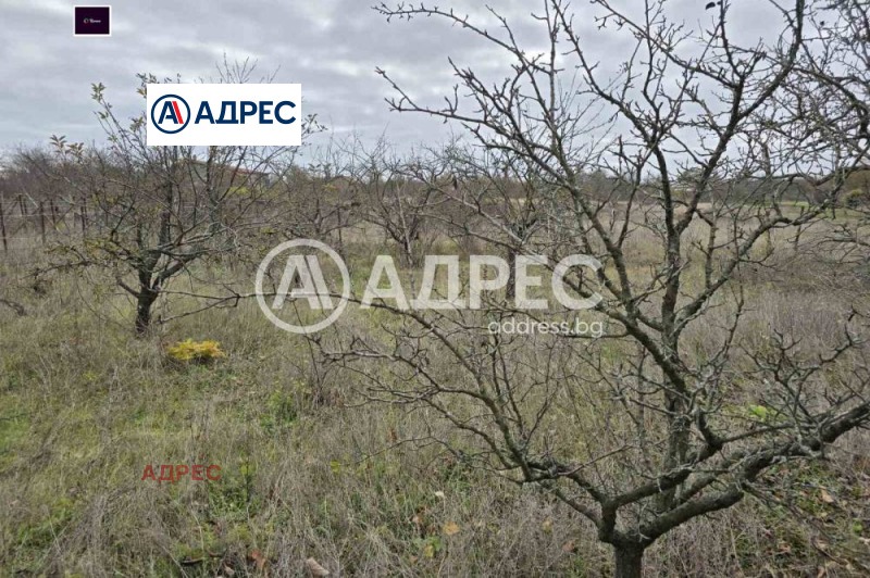 Продава ПАРЦЕЛ, с. Осеново, област Варна, снимка 3 - Парцели - 53498201