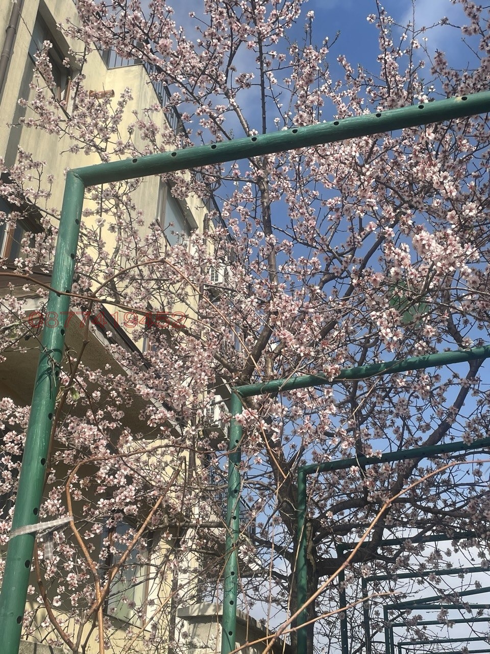 Продава 3-СТАЕН, гр. Варна, Галата, снимка 9 - Апартаменти - 54492940