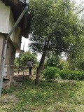 Продава КЪЩА, с. Телиш, област Плевен, снимка 7