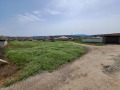 Продава ПАРЦЕЛ, с. Драгижево, област Велико Търново, снимка 2