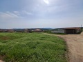 Продава ПАРЦЕЛ, с. Драгижево, област Велико Търново, снимка 2