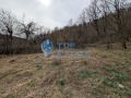 Продава КЪЩА, област Габрово, гр. Плачковци • 50000 лв. • 89702346 — Holmes.bg