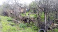 Продава ПАРЦЕЛ, област Шумен, с. Мадара • 45000 лв. • 32934391 — Holmes.bg