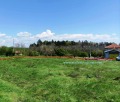 Продава ПАРЦЕЛ, област Варна, с. Аврен • 17000 € • 79552461 — Holmes.bg