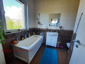 Hus Junets, region Varna 9