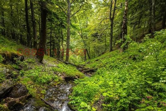 Продава ЗЕМЕДЕЛСКА ЗЕМЯ, с. Калугерово, област София област