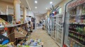 Продава КЪЩА, гр. Пловдив, Каменица 2, снимка 11