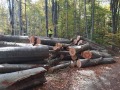 Продава ЗЕМЕДЕЛСКА ЗЕМЯ, с. Калугерово, област София област, снимка 2