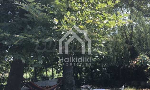 ������� ���� | Imot.bg � ����������� 11