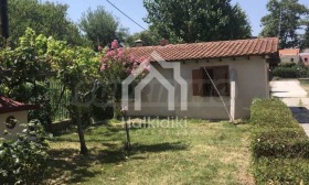 ������� ���� | Imot.bg � ����� ������ 13