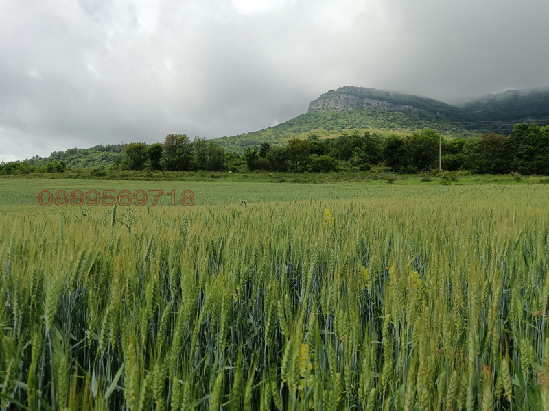 Продава ЗЕМЕДЕЛСКА ЗЕМЯ, гр. Ябланица, област Ловеч, снимка 3 - Земеделска земя - 52785526