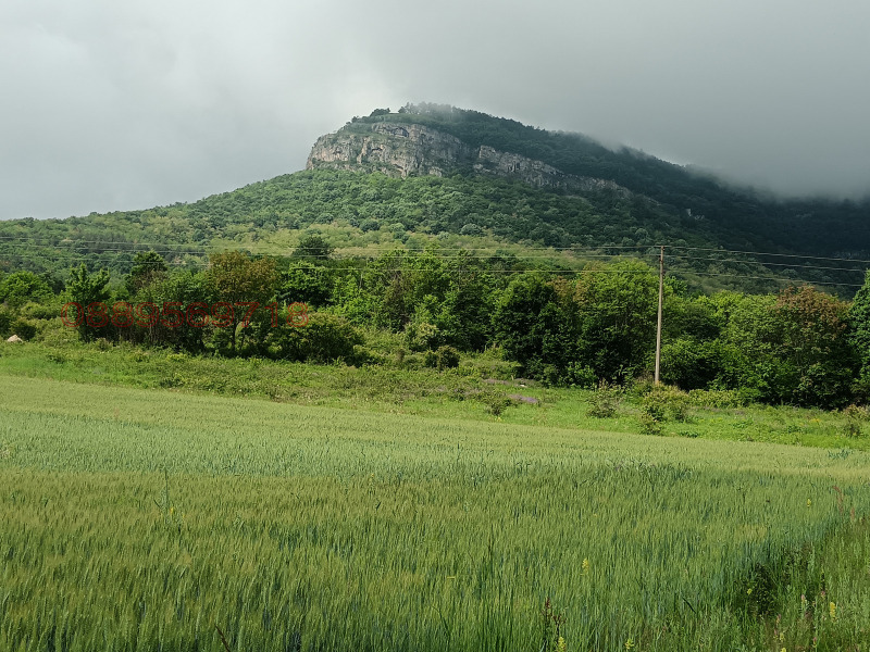 Продава ЗЕМЕДЕЛСКА ЗЕМЯ, гр. Ябланица, област Ловеч