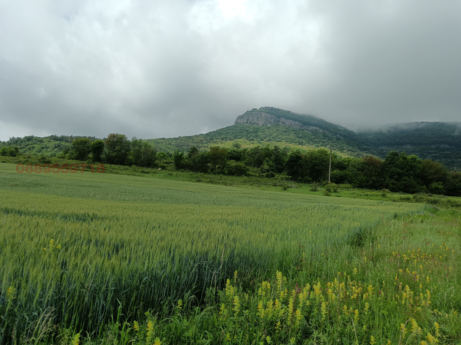 Продава ЗЕМЕДЕЛСКА ЗЕМЯ, гр. Ябланица, област Ловеч, снимка 4 - Земеделска земя - 53772393