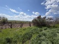 Продава  Къща област Русе , с. Белцов , 130 кв.м | 31880710 - изображение [10]
