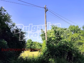 ������� ������ | Imot.bg � ����� ������ 5