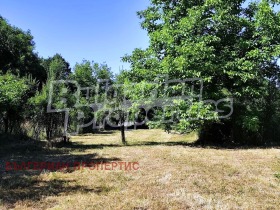 ������� ������ | Imot.bg � ����� ������ 8