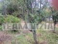 Продава ПАРЦЕЛ, с. Телиш, област Плевен, снимка 4