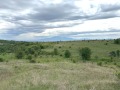 Продава ПАРЦЕЛ, област София, гр. Костинброд • 79900 € • 43694002 — Holmes.bg
