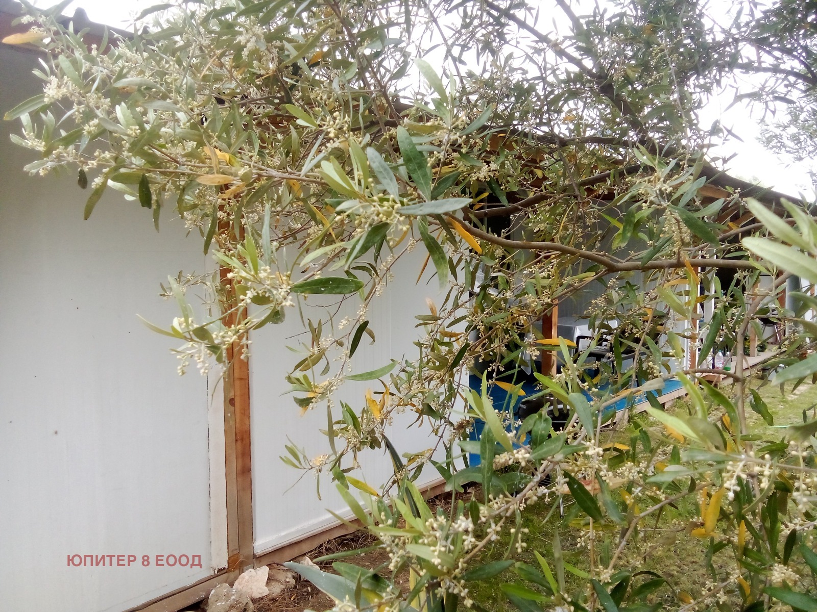 ������� 2-����� | Imot.bg � ����������� 15