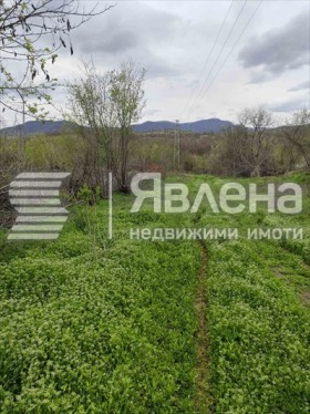 Продава парцел област Видин с. Дъбравка - [1] 
